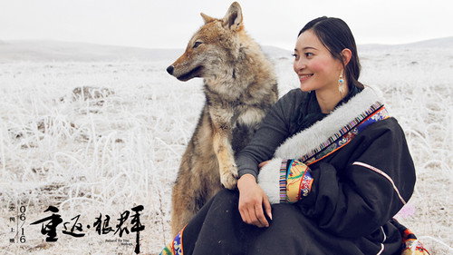 剧照