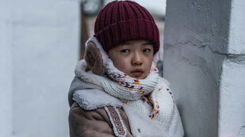 剧照
