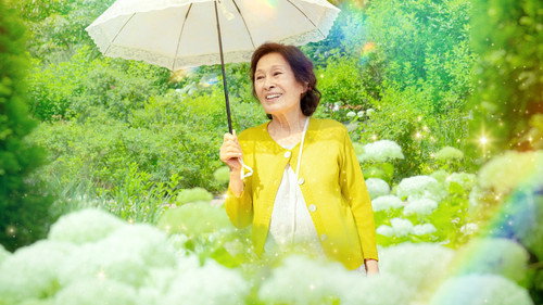 剧照
