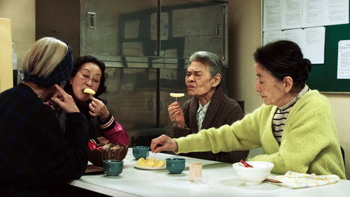 剧照