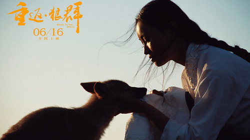 剧照