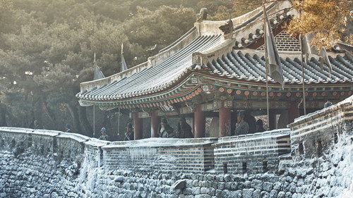 剧照