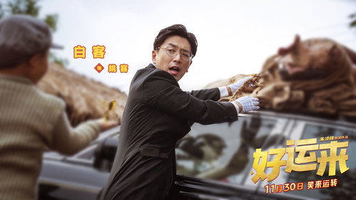 剧照