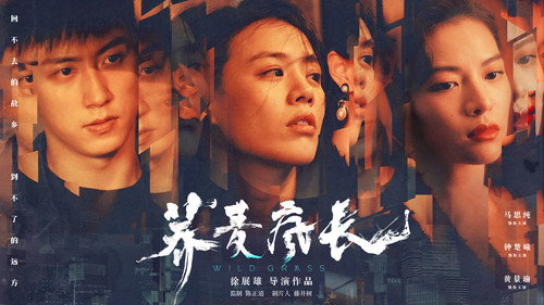 剧照